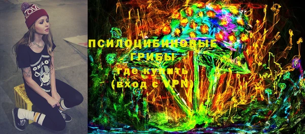 эйфоретик Богородицк