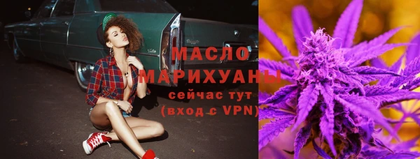 гашик Богородск
