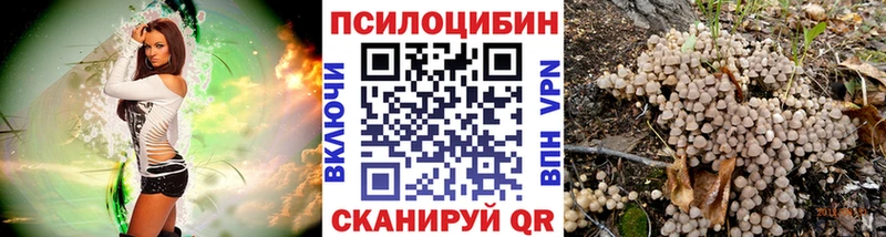 Псилоцибиновые грибы GOLDEN TEACHER  Каменка 