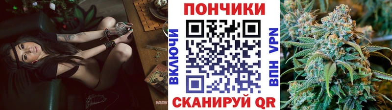 наркота  OMG ссылки  Бошки Шишки гибрид  Каменка 